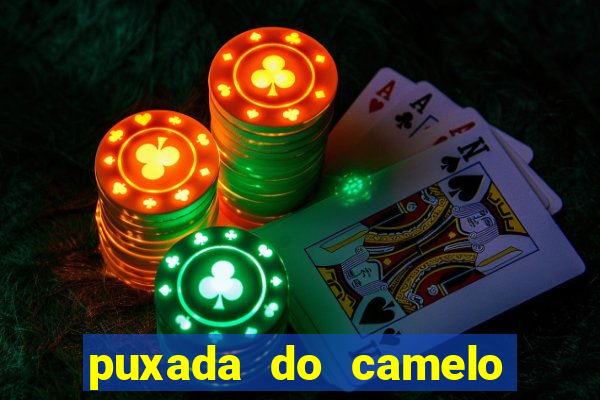 puxada do camelo no jogo do bicho